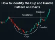 identify_cup_handle